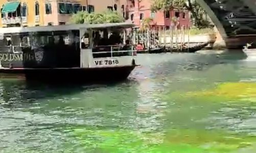 Canal Grande colorato di verde e di rosso